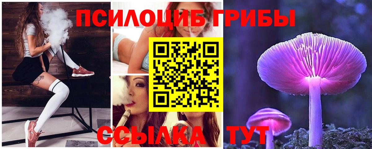 Жигулёвск  Галлюциногенные грибы прущие грибы  Вход с VPN 